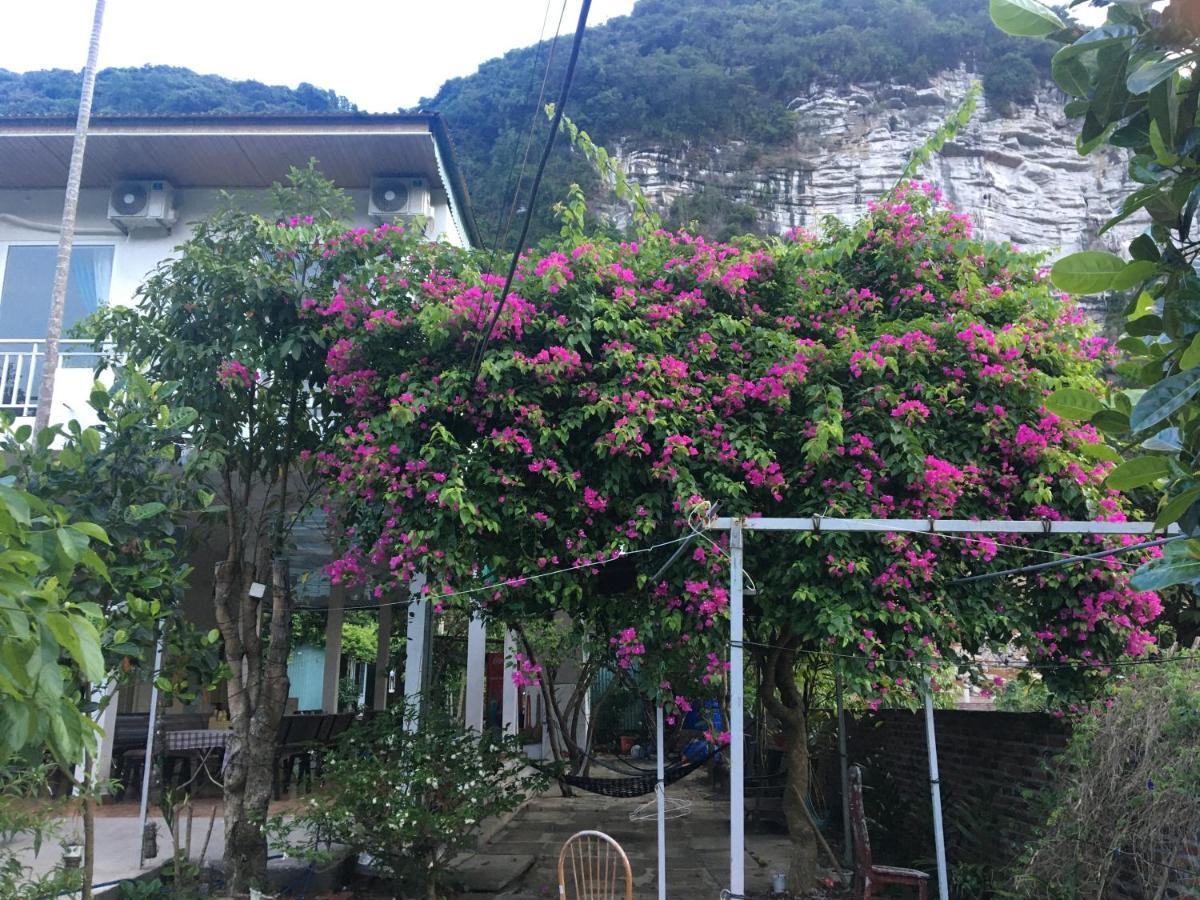 Cat Ba Countryside Homestay Dong Khe Sau Dış mekan fotoğraf