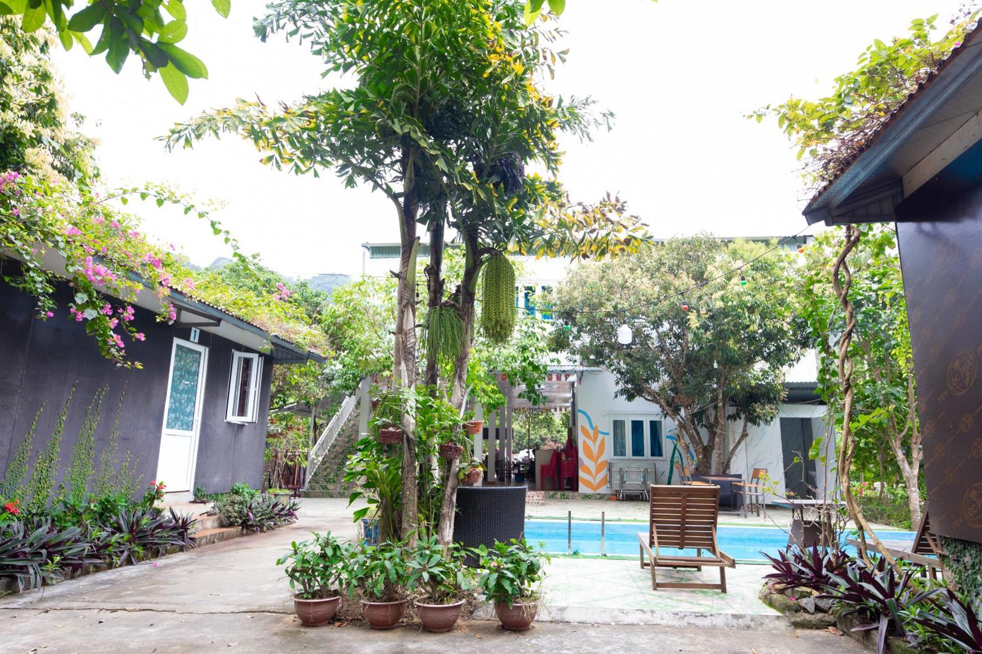 Cat Ba Countryside Homestay Dong Khe Sau Dış mekan fotoğraf