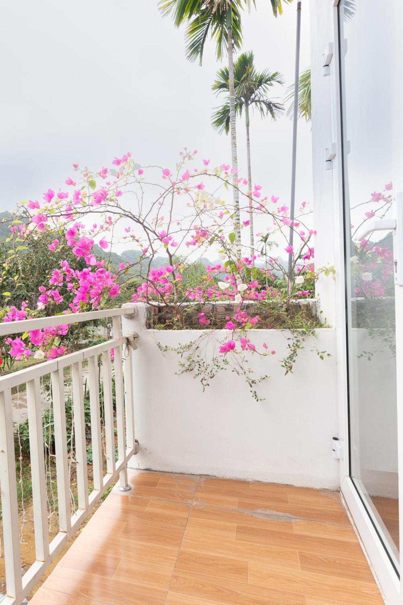 Cat Ba Countryside Homestay Dong Khe Sau Dış mekan fotoğraf